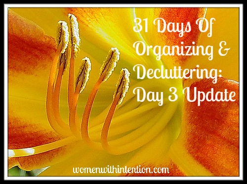 Who's ready for spring?  his decluttering & organizing challenge began when I was day dreaming about open windows, spring air, and no more sickness!  We'll be adding in some spring cleaning to get your home ready for spring!    Here's Day 3's Update