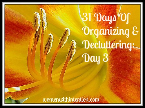 Who's ready for spring?  his decluttering & organizing challenge began when I was day dreaming about open windows, spring air, and no more sickness!  We'll be adding in some spring cleaning to get your home ready for spring!    Here's Day 3's Challenge